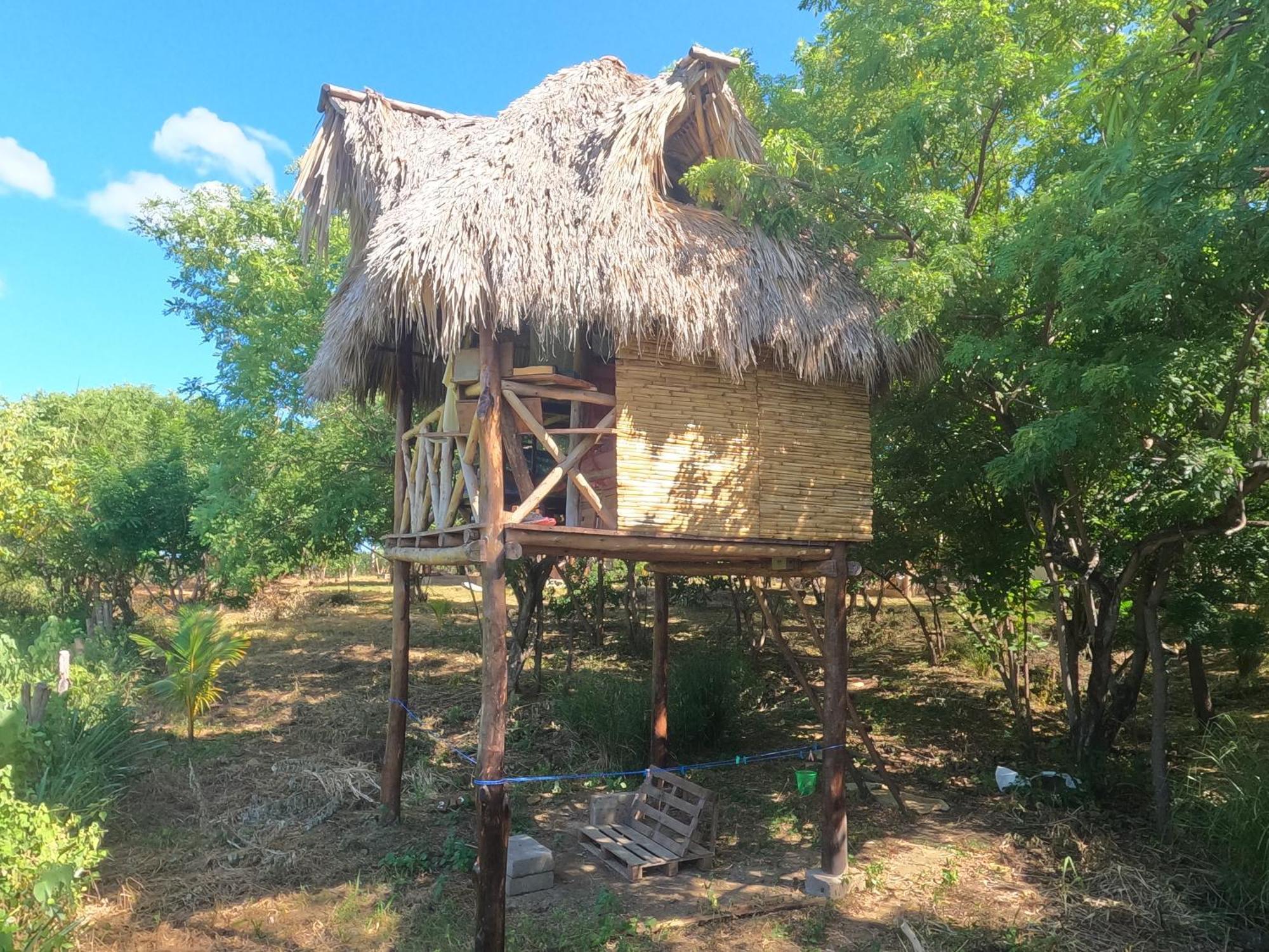 Palapa Hostel Transito Exterior foto
